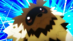 Zigzagoon w 