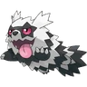 Zigzagoon-Galar