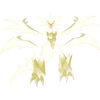 Necrozma Ultra