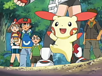 Solana Plusle