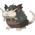 Alolański Raticate