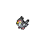 520MS.png