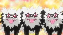 Galariański Zigzagoon w 