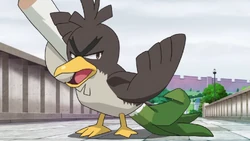  Farfetch'd w anime