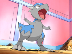 Cranidos w 