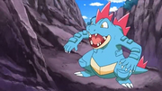 Ben Feraligatr