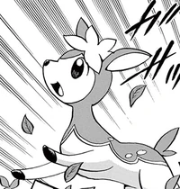 Deerling w Formie Wiosennej w 