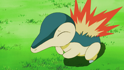 Ash Cyndaquil