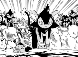 Rayler Luxio