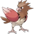 Spearow