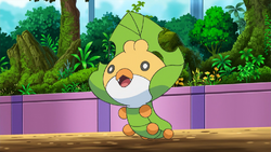 Ash Sewaddle