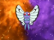 Jeremy Butterfree