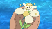 Flabébé Białego Kwiatu w anime