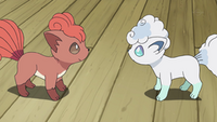 Normalnyialoanskivulpix