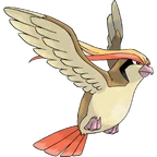 Pidgeot