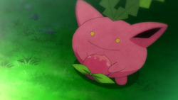 Hoppip anime