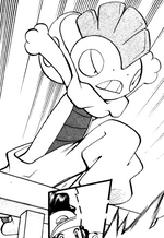 Scrafty Adventures