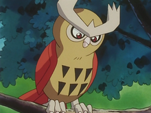 Ash Noctowl debut