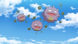 Koffing w 