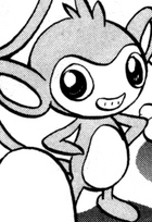 Aibo Aipom