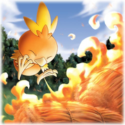 Torchic Ranger