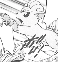 Flannery Vulpix Adventures