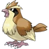 Pidgey