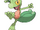 Treecko