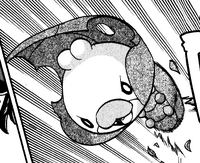 Sewaddle Adventures