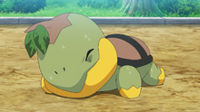 Turtwig wilting