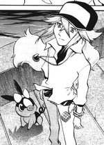 N Pokemon Wiki Fandom N Pokemon Wiki Fandom