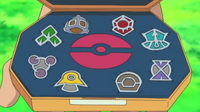 File-Barry Sinnoh badges