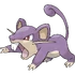 Rattata