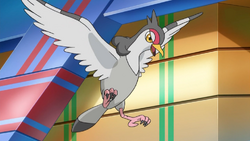 Trip Tranquill