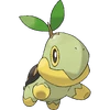 Turtwig