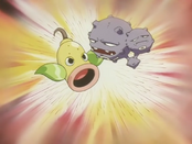 Weepinbell Jamesa