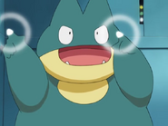 Munchlax