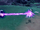Dragon Pulse
