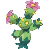 Maractus