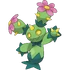 Maractus