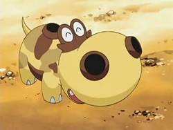 Hippopotas anime