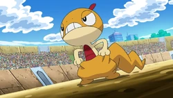 Ash Scraggy