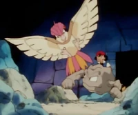 Geodude walczy z Pidgeotto