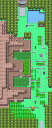 Sinnoh Route 214 DP