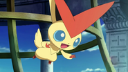 Victini M14