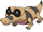 Sandile