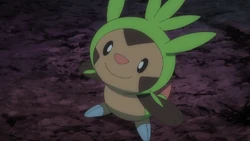 Chespin w 
