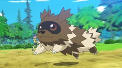 Zigzagoon w animowanym zwiastunie