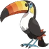 Toucannon