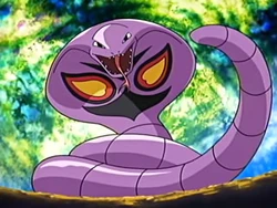 Arbok w 